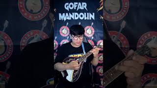 HABIS GELAP#gofarmandolin #mandolin #dangdut #rhomairama #soneta #rhoma #sonetagroup #dangdutan #ok