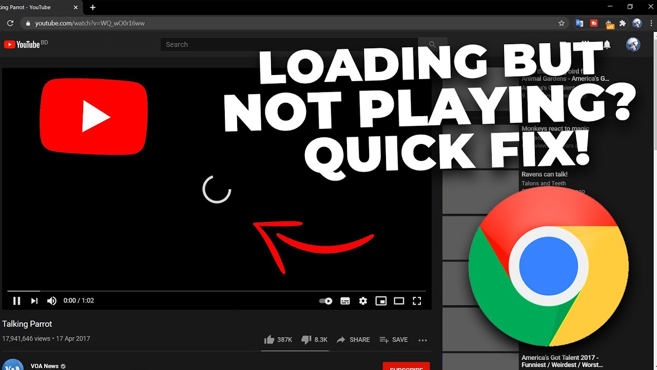 Youtube Video Doesn T Play In Chrome Quick Fix Youtube Youtube Video Doesn T Play In Chrome Quick Fix Youtube
