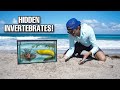 Catching HIDDEN INVERTEBRATES For My SALTWATER AQUARIUM FISH!! *expensive fish caught*