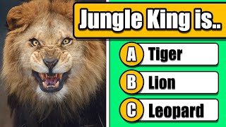 General Knowledge Quiz #4 - Animals 🐶🐱🐨