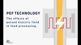 PEF (Pulsed Electric Field) Technology