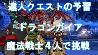 DQX　BTTのANQ　ドラゴンガイアに魔法戦士４人で挑戦！