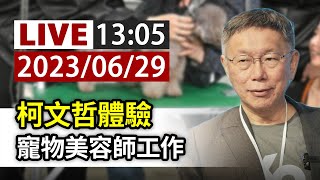 【完整公開】LIVE 柯文哲體驗 寵物美容師工作