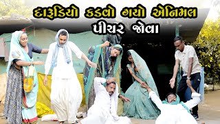 દારૂડિયો કડવો ગયો એનિમલ પિચર જોવા||DARUDIO KADVO GAYO AENIMAL PICHAR JOVA||GUJRATI COMEDY VIDEO