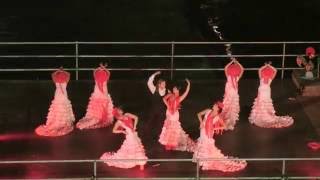 Andalusian folk dance: Fandango