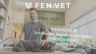 Fen Vet Webisode 16: Schnauzer found in a dumpster (clickbait)