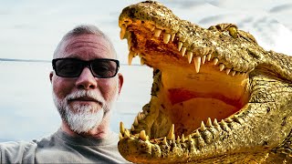 Moving to Jacksonville, Florida? Alligators? Here's What You Need to Know!