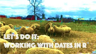 When is she due? Working with dates in R (CC008)