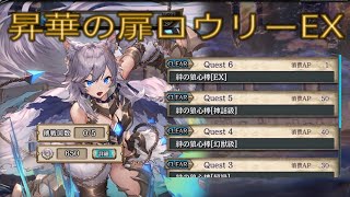 少女とドラゴン-幻獣契約クリプトラクト-【昇華の扉】ロウリー 絆の狼心棒EX