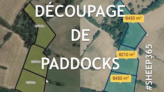 Comment RECOUPER ses PADDOCKS en pâturage tournant