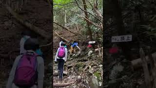 【こんな場所から水が・・・。】 #shorts    白木山　広島市安佐北区　早朝登山　八合目