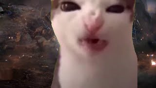 Cat eats infinity stones