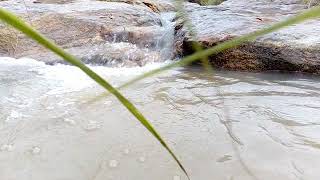 Rarely appeared rainy seasonal water stream at byrappanahalli near avathi, avathi hills,devanahalli