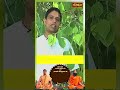 मिर्गी में बहुत लाभकारी है पीपल का पत्ता | Acharya balkrishna Ji | #sanskartv #shorts