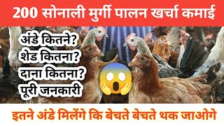 200 सोनाली मुर्गी पालन खर्चा कमाई 😱 Sonali murgi Farm| Sonali murgi Palan| murgi palan kaise kare