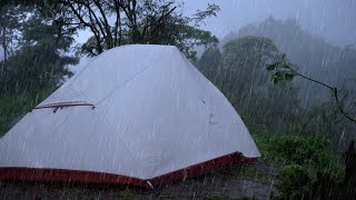 CAMPING IN HEAVY RAIN & THUNDERSTORMS: RELAXING SOUNDS OF RAIN ON TENT ROOF | ASMR [4K]