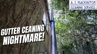 Gutter Cleaning Nightmare!