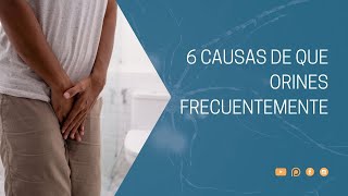 6 causas de que orines frecuentemente