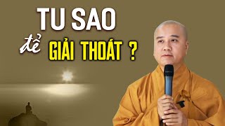 Tu Làm Sao Để GIẢI THOÁT Cho Chính Mình - Thầy Thích Pháp Hòa