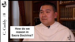 C. Cuddy #8: How do we reason in Sacra Doctrina? (I, 1, 8)