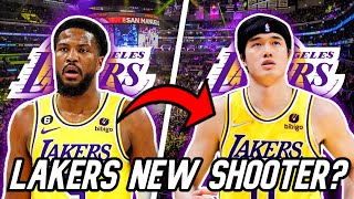 Lakers 3PT SNIPER Free Agent Target to Upgrade Shooting? | BEST 3pt Shooting Options at Every Pos.