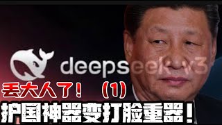 护国神器突变打脸重器  deepseek丢大人了！