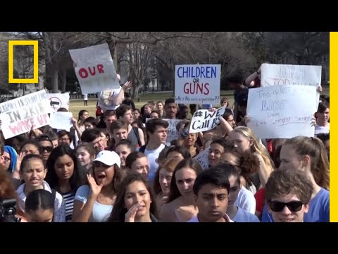What are examples of social movements?
