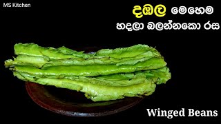 දඹල සුපිරිම රසකට හදමුද ? | Dabala Curry | Winged Beans Curry | @mskitchen3708