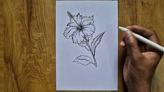 hibiscus flower drawing//how to draw easy flower #drawing #hibiscus #flowers #drawing   #sketch