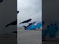 whale kite