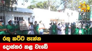 රතු කට්ට පැන්න දොස්තර කළ වැඩේ - Hiru News