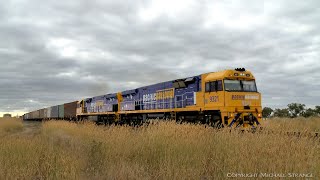 9321 \u0026 9322 Leading 4PM6 Pacific National Freight Train (15/1/2022) - PoathTV Australian Railways