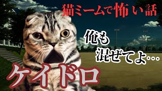 【猫ミーム×ホラー】「俺も混ぜてよ」突然小学生のケイドロに入ってきた男の衝撃的な行動に戦慄する人怖…ッ#猫マニ #怖い話 #体験談