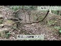 【戸ノ上⛰️に登ってみた】下関市まで見渡せる絶景を目指す