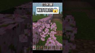 How to make flower path in Minecraft #shorts #trending