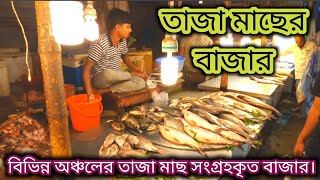 কমে গেল বিভিন্ন অঞ্চলে তাজা তাজা মাছের দাম।বাজারে সুন্দর সুন্দর তাজা মাছ নিয়ে আসল।রায়ের বাজার।ঢাকা।