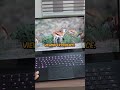 Best Gaming Laptops of 2024: Razer Blade 15