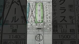 TVh杯予想 指数１位の本命馬とその他