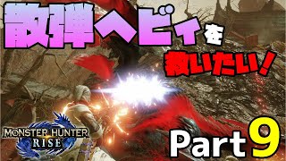 【MHRise】散弾ヘビィ VS 強化バルファルク！ライズ史上最も楽しい戦いがそこにある！モンハンライズ