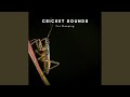 Virtual Crickets