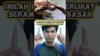 HEWAN TERLIHAT SERAM KETIKA BASAH