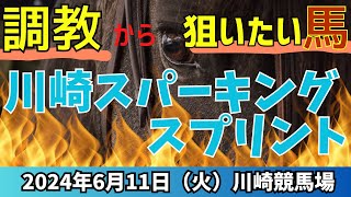 本命◎1着🎯🎯【川崎スパーキングスプリント2024】予想印＆見解🔥調教から推したい馬はこちら【競馬予想】