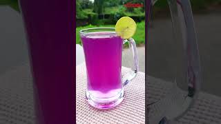 ആരോഗ്യം പകരും ബ്ലൂ ടീ | Blue Tea | Healthy recipes