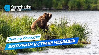 Экотуризм в стране медведей | Ecotourism in a Land of Bears