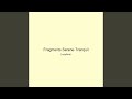 Fragments Serene Tranquil