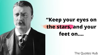 Theodore Roosevelt Quotes which are better to be known when young to not Regret in Old Age #4