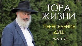 Тора жизни. Переселение душ 3. Праведник из прошлого.