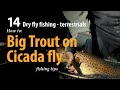 How to • Dry fly fishing - Terrestrials • Big Trout on Cicada fly • fishing tips