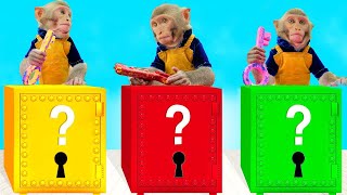 Baby Monkey Bim Bim Solves The Mystery Challenge of Keys in Colorful Box
