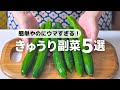 【きゅうりレシピ】すぐ作れる！ごはんが進むやみつきレシピ5選